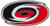 NHL Carolina Hurricanes Logo Pin