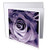 3dRose Lavender Purple Rose Greeting Cards  Set of 6  gc 27565 1