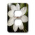 3dRose lsp_32336_6 Two Plug Outlet Cover with Decorative Clematis White Flower
