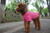 Lovelonglong 2019 Pet Clothing Dog Costumes Basic Blank T Shirt Tee Shirts for Small Dogs Rosered L