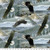 Eagles Soaring Cotton Fabric by The Yard