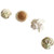 N D Hermit Crab Shells Turbo Seashell Natural Sea Conch 4 PCS