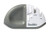 Smith s 51003 Diamond Edge Grip Max Sharpener  Grey   White