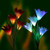 Denknova Solar Garden Lights Outdoor-2 Packs Solar Powered Garden Stake Lights with 8 Lily Flower, Multi-color Changing LED Solar Stake Lights for Garden,Patio,Backyard (Purple and White)