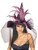 Rubie s womens Witch Hat With Feathers and Veil Costume Party Supplies  Multicolor  One Size US