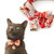 Necoichi Kabuki Charm Bow Tie Cat Collar  Red