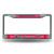 NBA Rico Industries Bling Chrome License Plate Frame with Glitter Accent  Chicago Bulls