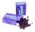 CrazyOutlet Pack   Wonka Nerds Grape Flavor  70 Purple Mini Boxes