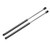 Set of 2 Rear Hatch Lift Support Struts Liftgate Shock Damper for Mitsubishi Outlander 2003 2006