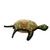 Tuffy Ocean Creature Turtle
