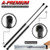 A Premium Tailgate Rear Trunk Lift Supports Shock Struts Replacement for Audi A4 A4 Quattro 1998 2001 S4 Wagon 2 PC Set