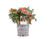 Star Roses Drift Series 19679 Peach Drift Rose  19cm