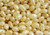 Jelly Belly Champagne Jelly Beans  1 Pound