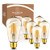 Dimmable LED Edison Light Bulbs  6 Watt  2200K Warm Lightbulbs   Amber Gold Glass   60 Watt Equivalent   E26 Base   Decorative Vintage Light Bulb Set   6 Pack