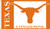 NCAA Texas Longhorns 3 by 5 foot Flag