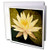 3dRose Yellow Lotus Flower - Greeting Cards, 6 x 6 inches, set of 12 (gc_13905_2)