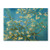 Almond Branches in Bloom 1890 Artwork by Vincent van Gogh, 18 by 24-Inch Canvas Wall Art