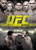 UFC  Best of 2013