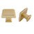 goldenwarm   10 PCS Brass Knobs Cabinet Knobs Drawer Knobs   LS9111BB Gold Knobs for Cabinets Decorative Knobs Closet Door Knobs