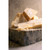Parmigiano Reggiano   1 Pound