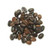 Philz Coffee Tesora 1lb Whole Bean