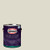 Glidden Exterior Paint   Primer  Sage Cocoon  One Coat  Flat  1 Gallon