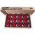 Terro T2512 Fruit Fly Trap 12 Traps  Red