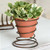 Bedspring Caddy with Terra Cotta Pot (set of 2)