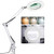 LANCOSC Magnifying Desk Lamp  8 Diopter  5X Real Glass Lens  3 Color Modes  Stepless Dimmable  Adjustable Swivel Arm with Clamp  LED Magnifier Light and Stand for Crafts  Reading  Close Work   White