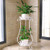 Wrought Iron Plant Stands Indoor Outdoor Metal Tall Plant Stand Iron Flower Stand Flower Pot Holder Flower Pot Stand Flower Pot Supporting Plant Holders Plant Rack Potted Plant Stand White 31 5in