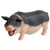 Design Toscano Laughing Pig Statue  full color