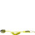 DAKINE Sup 10' x 3/16" Coiled Ankle Surf Leash (Sulphur)