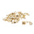 MroMax Box Latch  Toggle Latch Catch Yellow Decorative Hasp Jewelry Cases Catch with Screws 20Pcs
