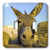 3dRose lsp818272 Greece  Mykonos  Hora  Donkey and Stone Fence Eu12 Dgu0093 Darrell Gulin Double Toggle Switch