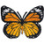 C D Visionary CDX Butterfly Monarch Medium Patch  Multi Color