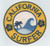 C D Visionary CDX California Surfer Patch  Multi Colors