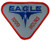 United States Air Force USAF Eagle 1000 Hours Embroidered Patch  with Iron-On Adhesive