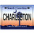Charleston South Carolina License Plate Fridge Collector s Souvenir Magnet 2-5  X 3-5