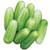 Burpee Picklebush Pickling Cucumber Seeds 50 seeds