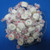 Frosted Cupcake Flavored Taffy Town Salt Water Taffy 1 Pound
