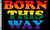 Born This Way Flag 3x5ft Poly