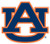 NCAA Siskiyou Sports Fan Shop Auburn Tigers Logo Magnets 8 inch sheet Team Color