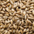 Briess Munich 10L Brewing Malt Whole Grain 1lb Bag
