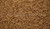CaraRed 1 lb by Weyermann