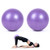 AOAVE 2 Pack Pilates Balls Yoga Balls Barre Balls Mini Exercise Balls  9 Inch Small Bender Balls for Pilates  Yoga  Core Training and Physical Therapy  Improves Balance