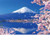 RAILONCH Large 5D Diamond Painting Cherry Blossoms Full Drill DIY Arts Craft for Home Wall Decor A 30x40cm