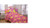 Disney Princess Flannel Sheet Set (Twin Size Crowned By Friendship)