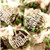 Choco Starlights   Chocolate Starlight Mints 1 Pound  16 OZ