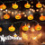 MEULOT Halloween Pumpkin String Lights 10 ft 20 LED Pumpkins Halloween Outdoor and Indoor String Lights  Halloween Lights Decorations 2 Lighting Modes