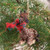 Conversation Concepts Giraffe Original Ornament